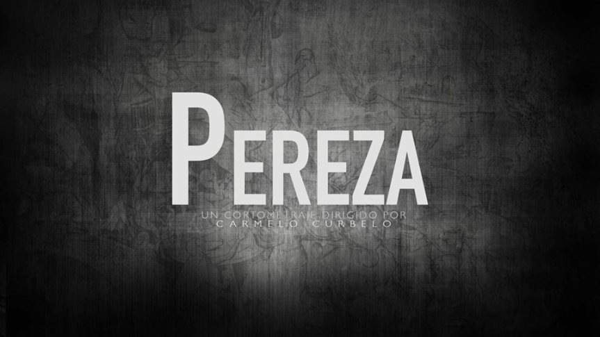 «Pereza» segundo proyecto